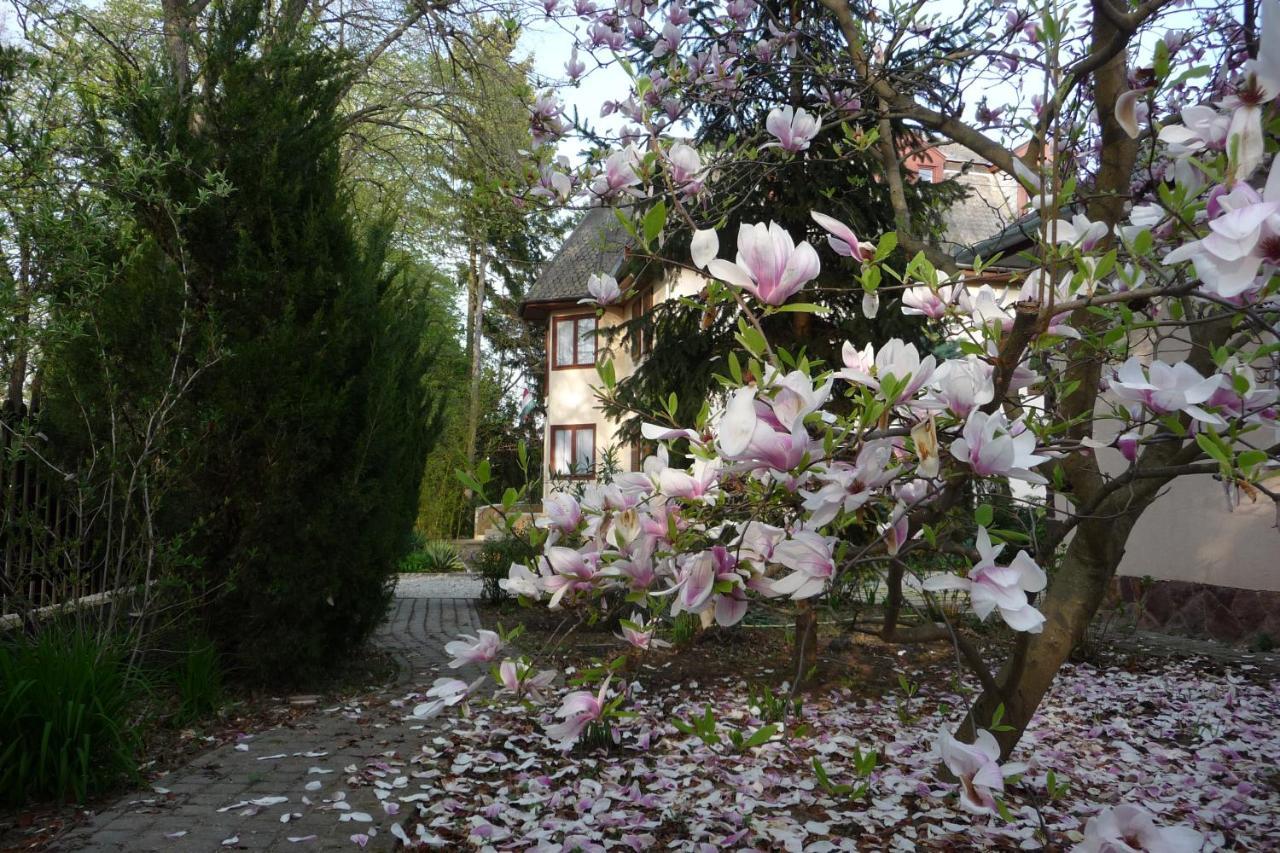 Balaton Art Guesthouse Balatonszárszó Exterior foto